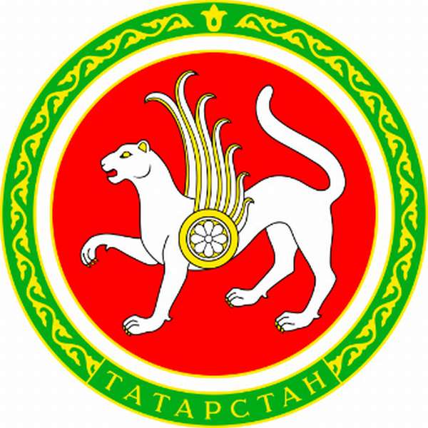 МРОТ и прожиточный минимум в Татарстане на 2019 год