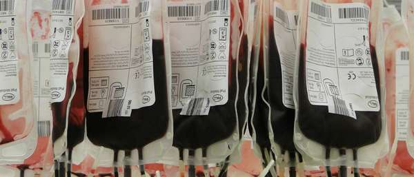 Льготы и выплаты почетным донорам крови в 2019 году
