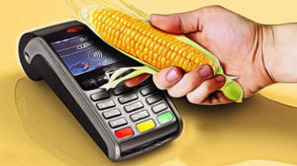 Как получить кредитную карту кукуруза? Условия оформления кредита
